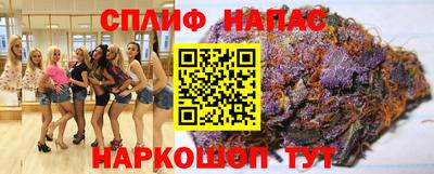 шишки Славгород