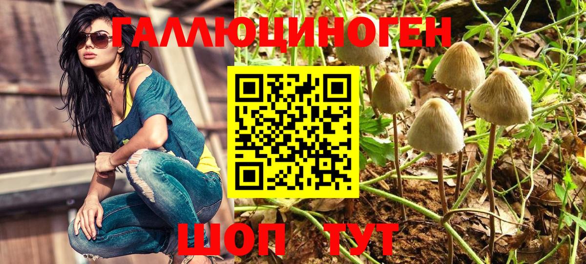 Псилоцибиновые грибы мухоморы Нефтекамск