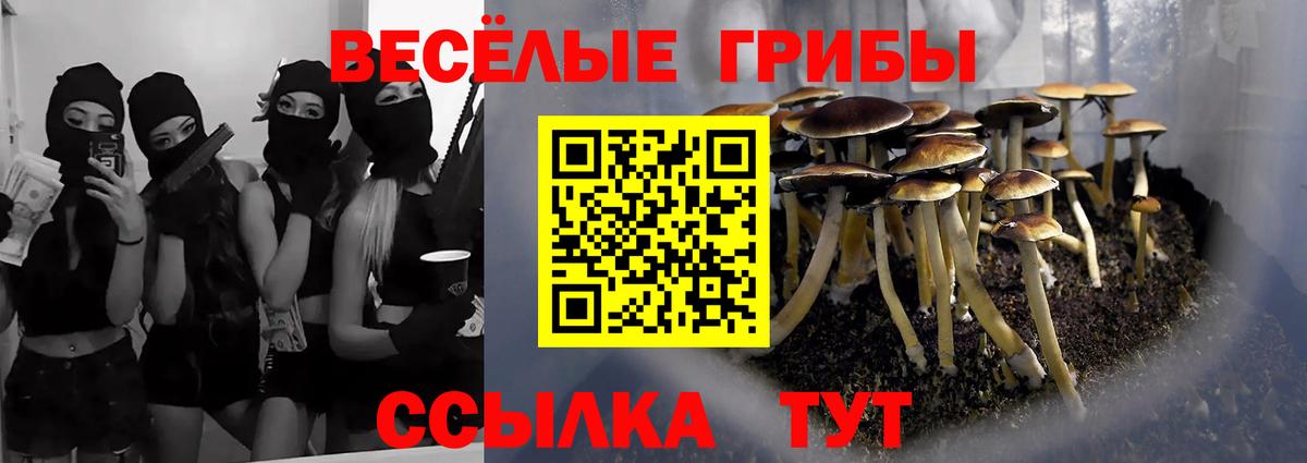 Галлюциногенные грибы Cubensis  Вход с VPN  Псилоцибиновые грибы Magic Shrooms  Нефтекамск 